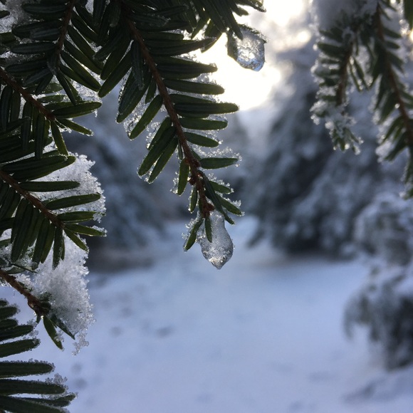 Meet your Posher, Kyla - Picture 1 of 1